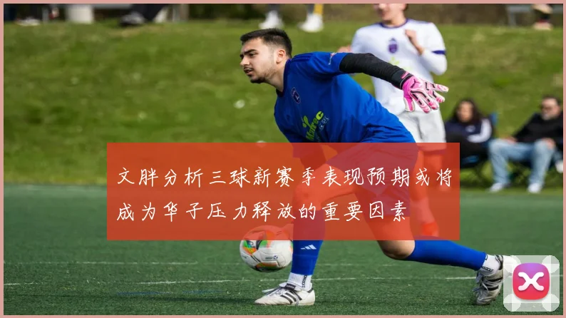文胖分析三球新赛季表现预期或将成为华子压力释放的重要因素