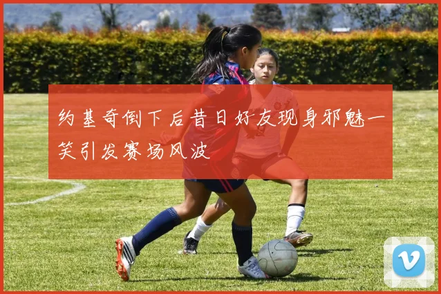 约基奇倒下后昔日好友现身邪魅一笑引发赛场风波